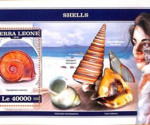 A6977 - SIERRA LEONE, Error, 2018, MISPERF SOUVENIR SHEET: Shells, Marine Life