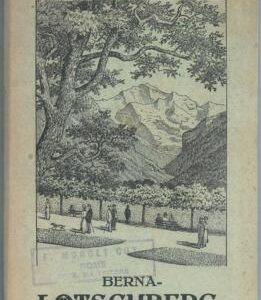 71168 -  SWIZZERLAND - Tourist  PROPAGANDA Depliant :  Bernese Alps RAILWAYS