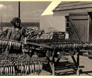 ac9578 - DENMARK - VINTAGE POSTCARD -  Bornholm