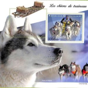 A7578 - CENTRAFRICAINE- ERROR MISPERF Stamp Sheet  2021 -  SLED DOGS