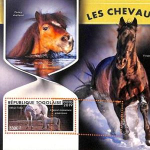 A7034 - TOGO, Error, 2019, MISPERF SOUVENIR SHEET: Horses, Frison, Akhal-Teke