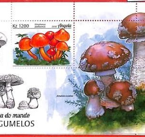 A1534 -  ANGOLA - ERROR: MISSPERF Souvenir sheet - 2018 Mushrooms