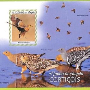 A3788 - Angola - ERROR MISPERF Souvenir Sheet - 2019, Birds, Namaqua sandgrouse