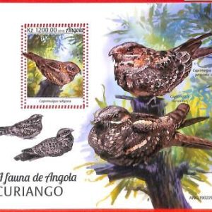 A3791 - Angola - ERROR MISPERF, Souvenir Sheet - 2019, Birds