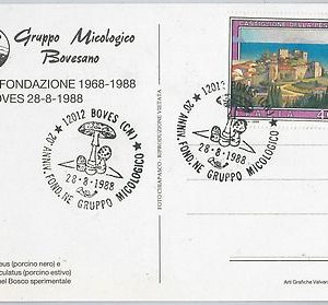 56571 -  NATURE: Mushrooms FUNGHI - ITALY -  POSTAL HISTORY:  POSTCARD  1988