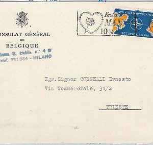 565665 -  FLOWERS: ROSES - ITALY -  POSTAL HISTORY:  POSTMARK on COVER 1959