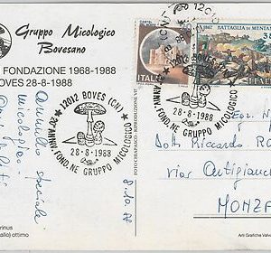 56572 -  NATURE: Mushrooms FUNGHI - ITALY -  POSTAL HISTORY:  POSTCARD  1988