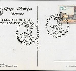 56573 -  NATURE: Mushrooms FUNGHI - ITALY -  POSTAL HISTORY:  POSTCARD  1988