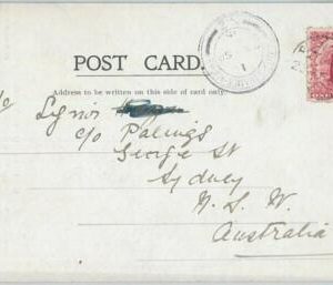 77329 - NEW ZEALAND - Postal History - THAMES-AUCLAND postmark on POSTCARD 1905