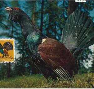 63813 - SWITZERLAND - POSTAL HISTORY: MAXIMUM CARD 1968 -  birds  PRO JUVENTUTE