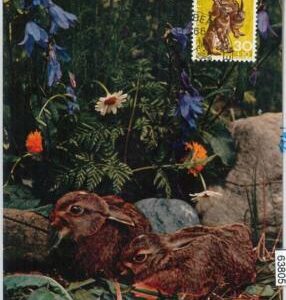63805 - SWITZERLAND - POSTAL HISTORY: MAXIMUM CARD 1966 -  animals PRO JUVENTUTE