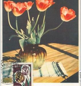 63681 -  RUSSIA USSR - POSTAL HISTORY: MAXIMUM CARD  - FLOWERS