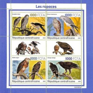 A7341 - CENTRAFRICAINE - ERROR MISPERF Stamp Sheet - 2021 - Birds, Predators