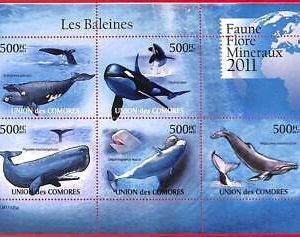 A3827 - Comoros - ERROR MISPERF, Miniature Sheet - 2011, Whales, Marine life