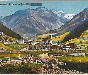 40753   CARTOLINA d'Epoca - BOLZANO - Madonna di Senales  1935