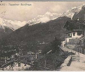 40774   CARTOLINA d'Epoca - BOLZANO - MERANO : TAPPEINER SAXIFRAGA 1931