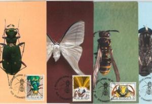 63440 -  BELGIUM - POSTAL HISTORY: set of 4  MAXIMUM CARD 1970 -  INSECTS moths