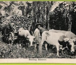 af4256 - HONDURAS - VINTAGE POSTCARD Ansichtskarten  - ETHNIC
