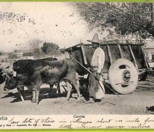 af4200 - MEXICO - VINTAGE POSTCARD Ansichtskarten  - 1909 - ETHNIC