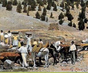 4504 - SPAIN - VINTAGE POSTCARD - Tenerife - Ethnic