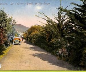 4505 - SPAIN - VINTAGE POSTCARD - Tenerife - Paseo de San Diego