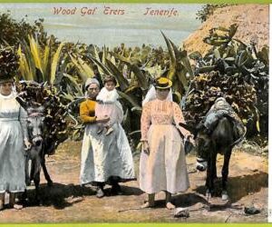 4503 - SPAIN - VINTAGE POSTCARD - Tenerife - Ethnic