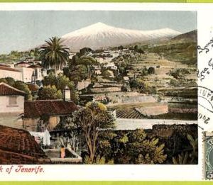 4506 - SPAIN - VINTAGE POSTCARD - Tenerife - 1903