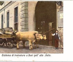 40240  CARTOLINA d'Epoca - COMO Città : CARRO BUOI