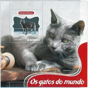 GUINEA BISSAU - ERROR, 2014 MISSPERF SHEET: CATS, PETS, ANIMALS