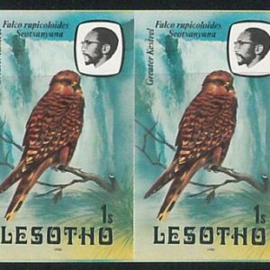 56555 -  BIRDS  - LESOTHO -   IMPERF Pair of stamps MICHEL 330 I -- very nice!