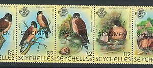 60798 -  SEYCHELLES  - STAMPS:  1980 Birds KESTRELL strip overprinted SPECIMEN