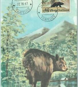 68686 - ITALY - Postal History - MAXIMUM CARD 1967 - NATURE:  Bear
