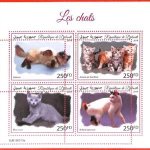A3883 - DJIBOUTI - ERROR MISPERF, Miniature sheet: 2019, Cats, Kittens