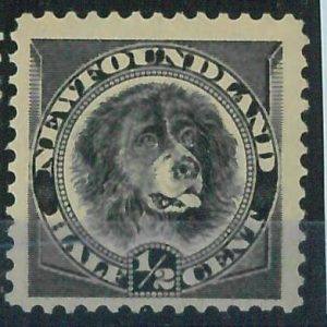 95766c - CANADA: Newfoundland - STAMP: SG #  59 -  MINT   MNH dog