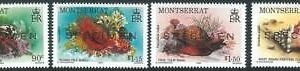 70723 -  MONTSERRAT - STAMP : SHELLES Crab 4 values MNH - Overprinted SPECIMEN