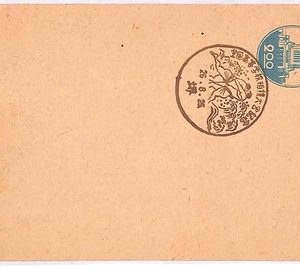 ai3897 - Japan - POSTAL HISTORY - Postal Stationery Card - Wrestling - 1950