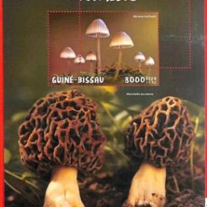 A1897 - GUINEA BISSAU, ERROR: MISSPERF, SOUVENIR SHEET - 2020, Mushrooms
