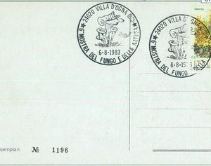 67419 - ITALY   Postal History -  SPECIAL POSTMARK: Mushrooms  1983