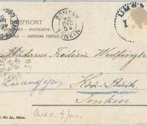 77627 - SWEDEN - Postal History - POSTCARD to VIETNAM Tonkin 1904