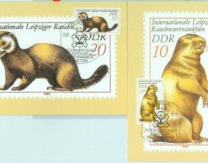 89871 - GERMANY DDR - Postal History - 2 MAXIMUM CARDS -  Animals NATURE 1981