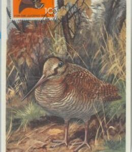 81301 - GERMANY DDR  - Postal History - FDC MAXIMUM CARD -   1965  Birds