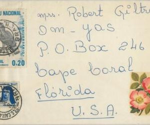 75745 - BRAZIL - Postal History - COVER to the USA 1968 - Birds of PREY