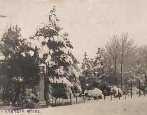 ac8592 - GREECE - VINTAGE POSTCARD - Tripolis