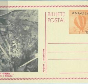 67445 -  ANGOLA  - Postal History -  STATIONERY CARD:  Flowers