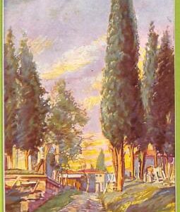 ac9805 - TURKEY - VINTAGE POSTCARD  - Constantinople