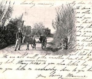 ac8784 - GREECE - VINTAGE POSTCARD - Corfou