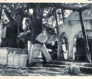 ac8465 - GREECE - VINTAGE POSTCARD - COO