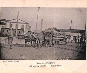 ac9089 - GREECE - VINTAGE POSTCARD -  Salonica, Ethnic