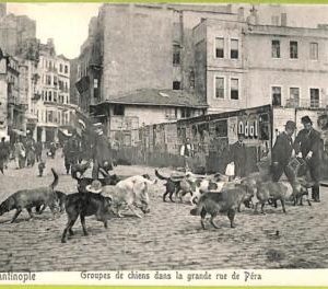 ac9925 - TURKEY - VINTAGE POSTCARD  - Constantinople