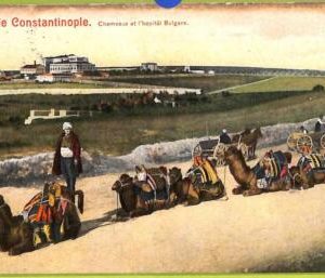 ac9914 - TURKEY - VINTAGE POSTCARD  - Constantinople